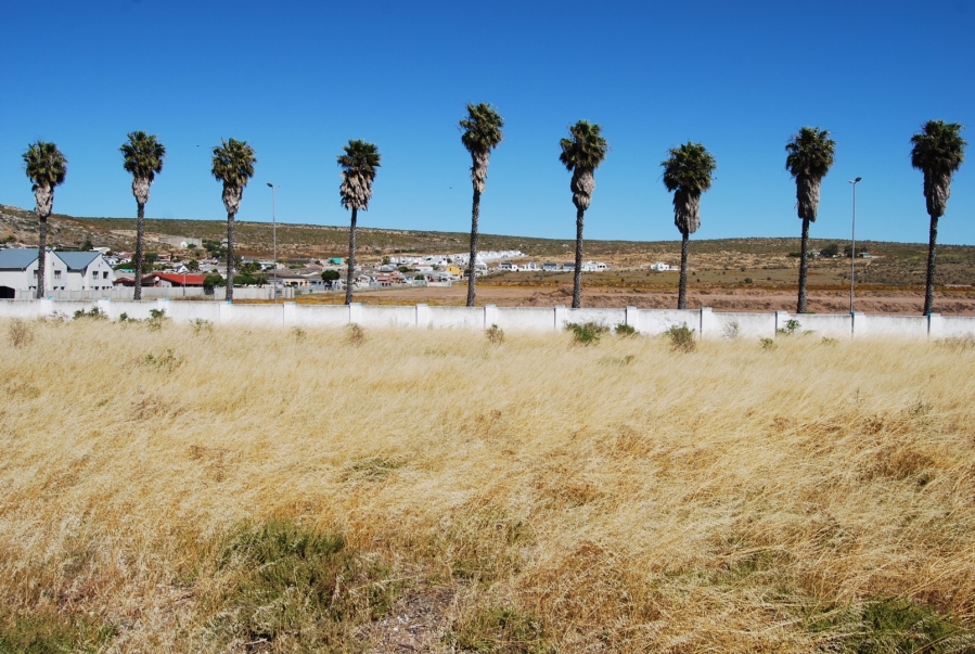 0 Bedroom Property for Sale in Saldanha Western Cape